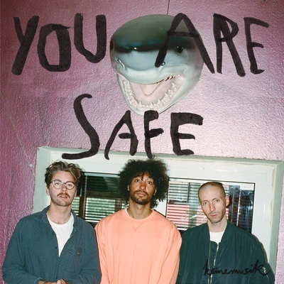 KM039S-01 You Are Safe