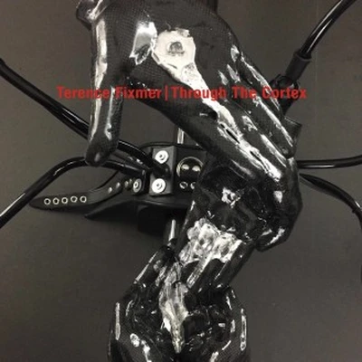 OSTGUTLP30 Through The Cortex