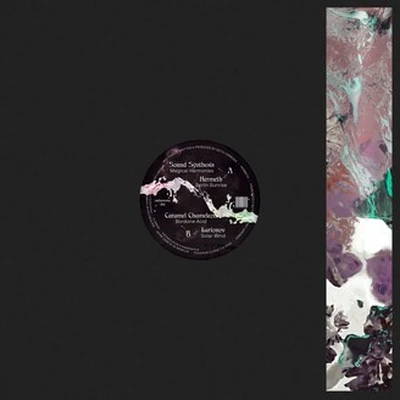 EUDEMONIA014-FRONTCOVER Acid Explorations