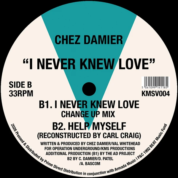 I Never Knew Love