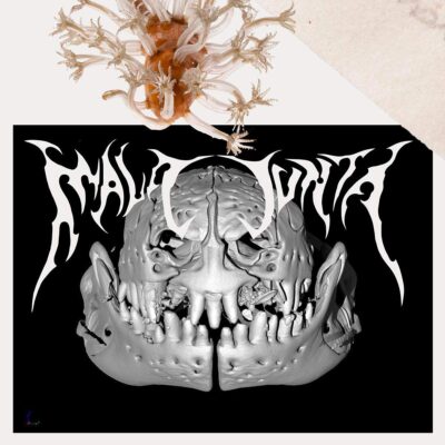 The Collective Capsule