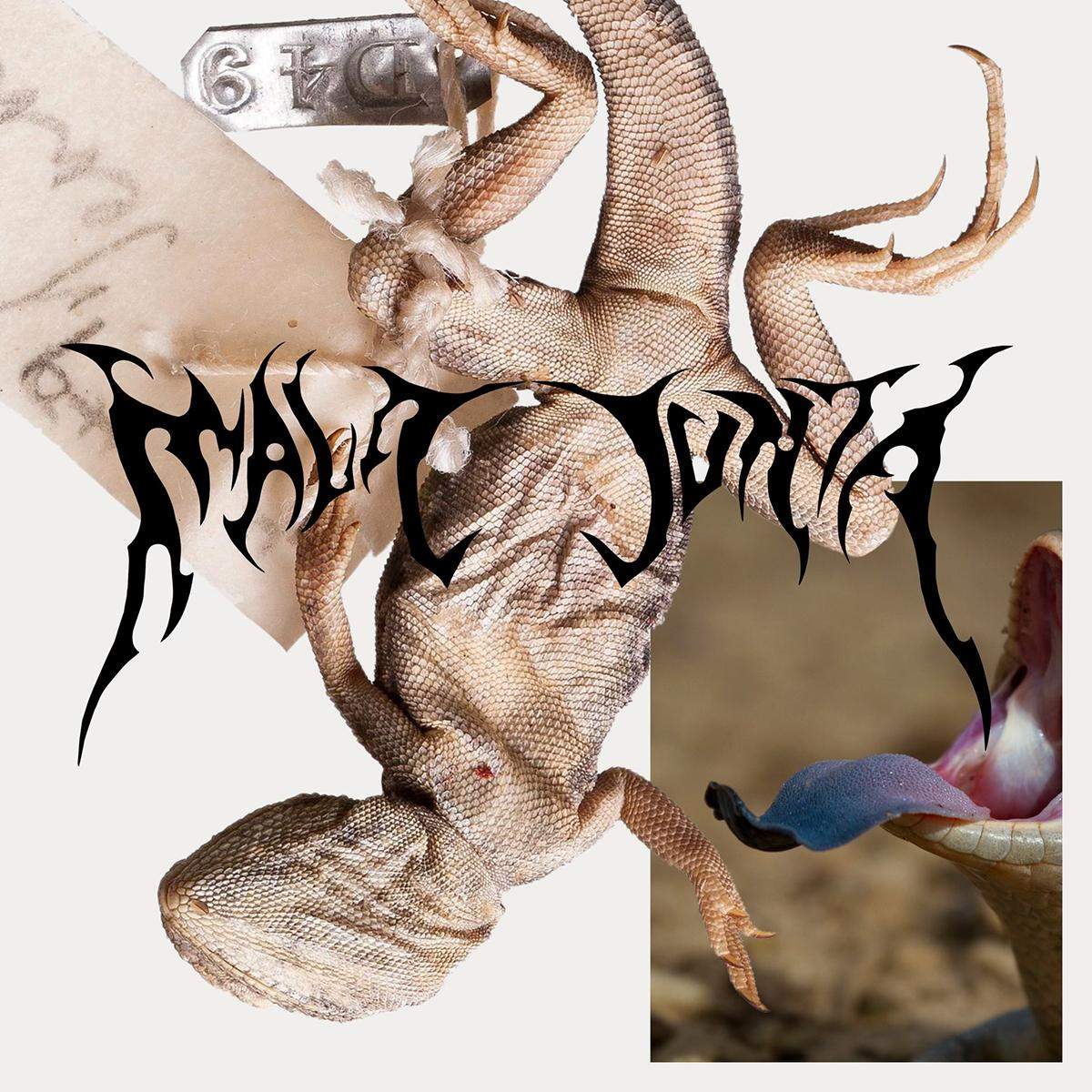 album-art