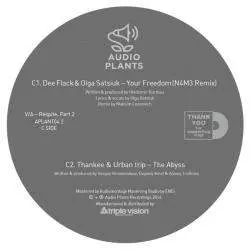 APLANT04.2 Respite. Part 2