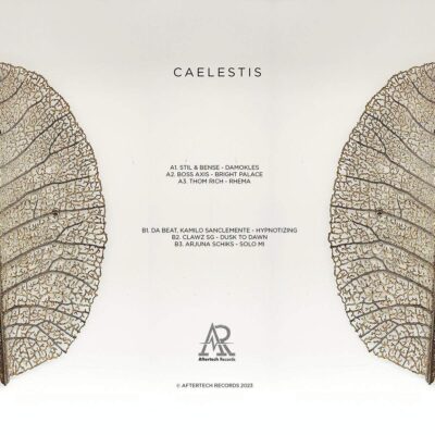 Caelestis