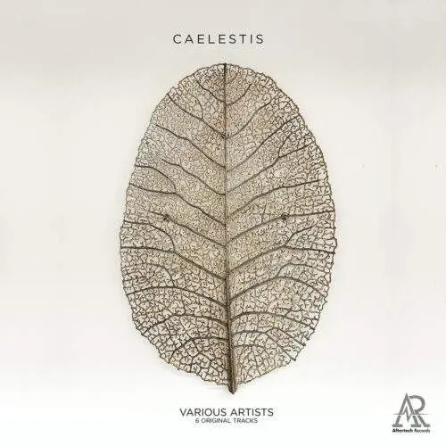 Caelestis