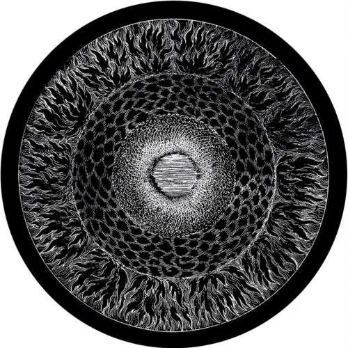 ATTIC015_back Hypersomnia
