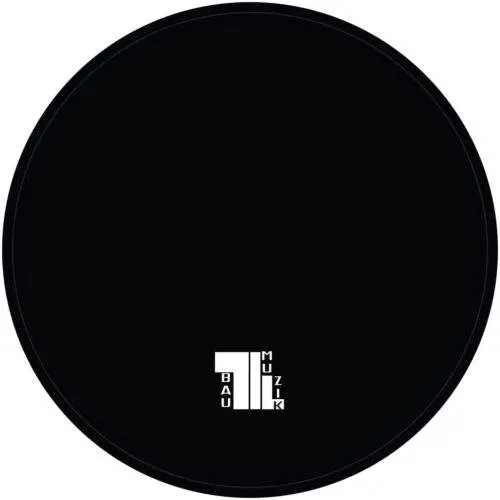 BAUMUZIK006_back Flux & Form EP