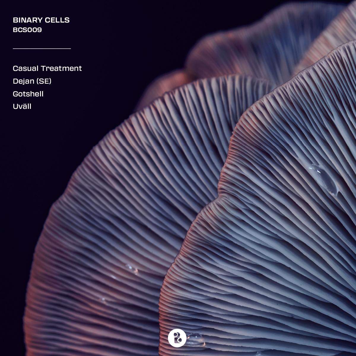 album-art