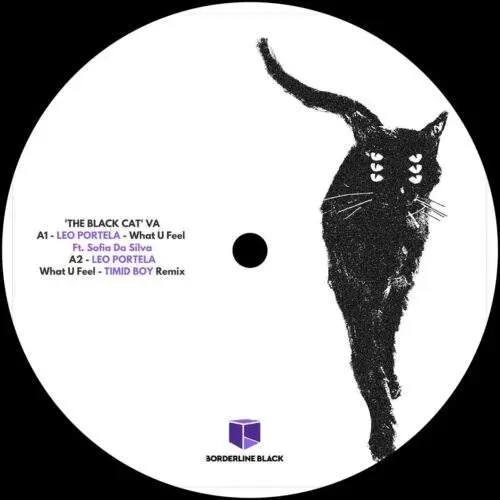 The Black Cat