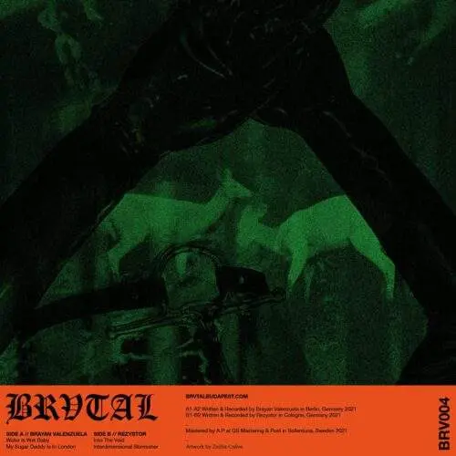 Brv004