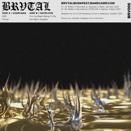 Brv006