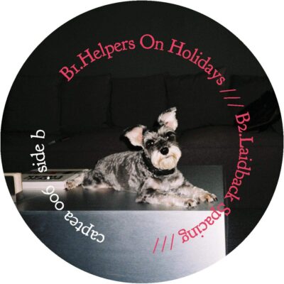 Small Talks, Big Action