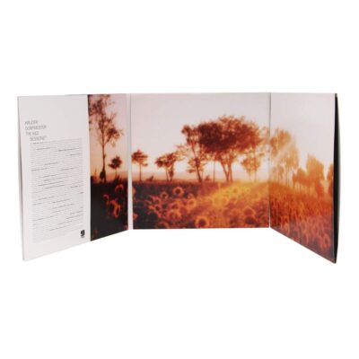 The K And D Sessions Tm