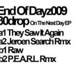 DAYZ009 On The Next Day EP