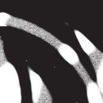 DD008_front Flesh Impact EP