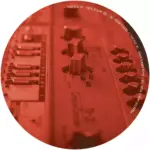 DVLS303-frontcover Devil's In My 303