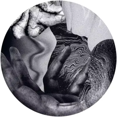 Music For The Wilted Generation C/D