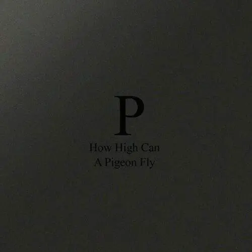 How High Can A Pigeon Fly