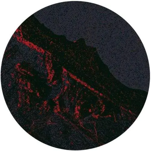 RM12_back Crimson Harvest