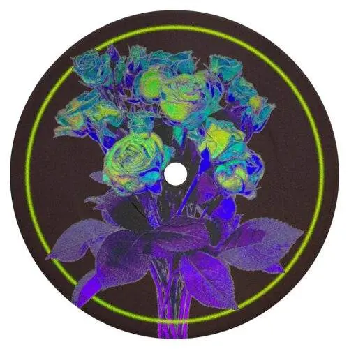 SNF061_back Dreaming of a Disco EP