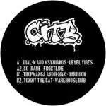 CITB013_back Vibes
