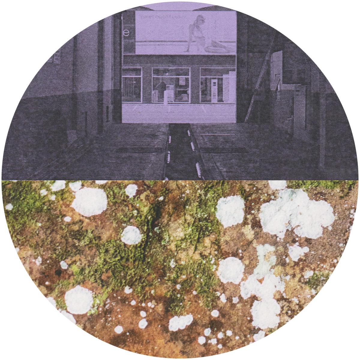 album-art