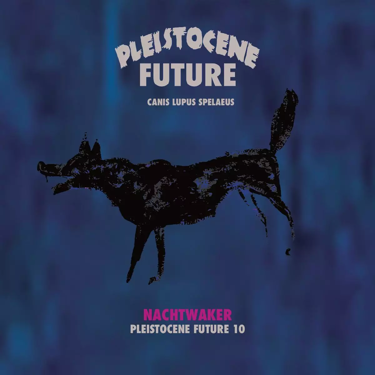 PF010-FRONTCOVER Pleistocene Future 10