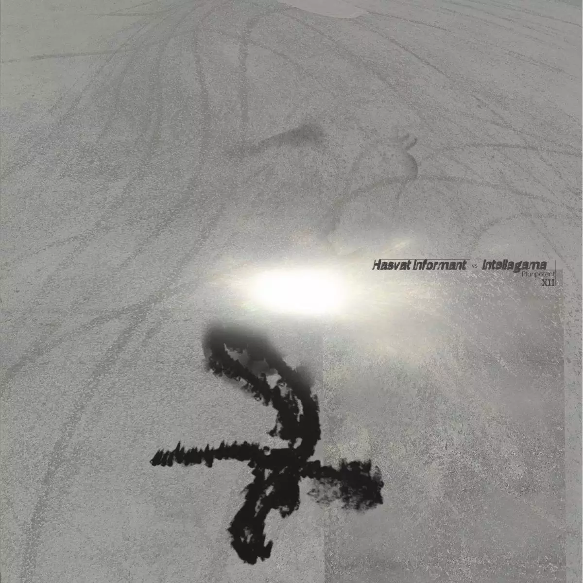 HBA-12EP-FRONTCOVER Pluripotent V