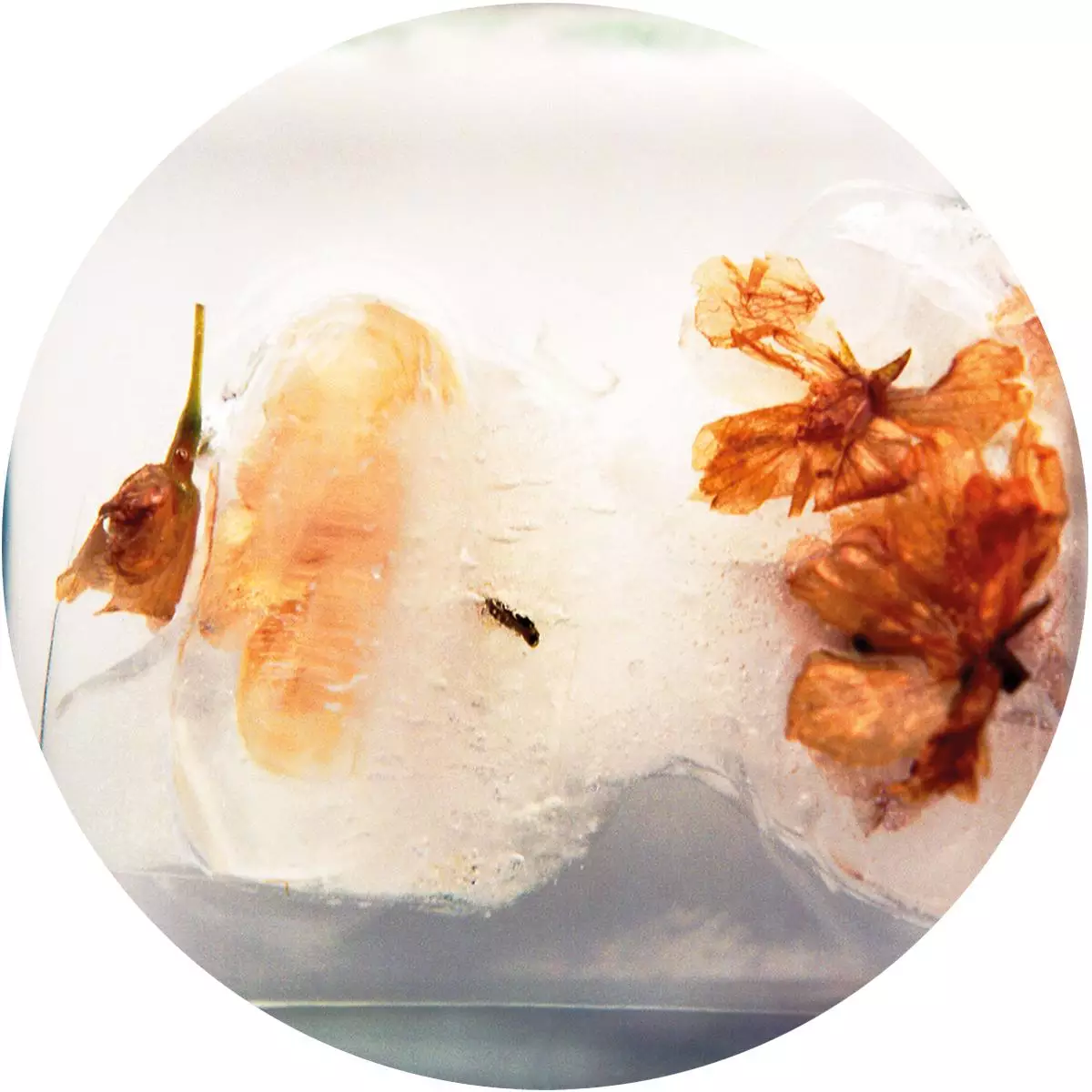 Muted Album Sampler 1