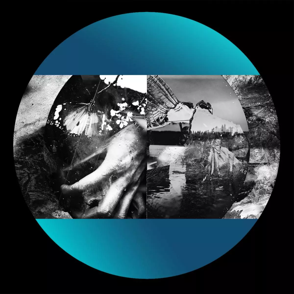 Horizons Sampler: One