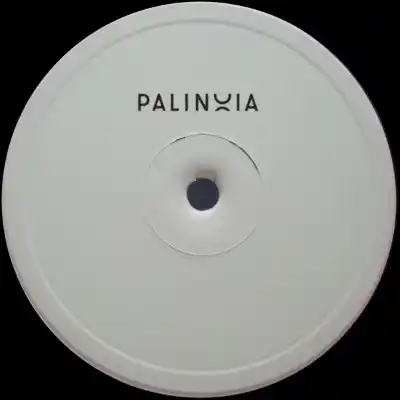 PALINOIALTD001-FRONTCOVER Palinoia Ltd 001
