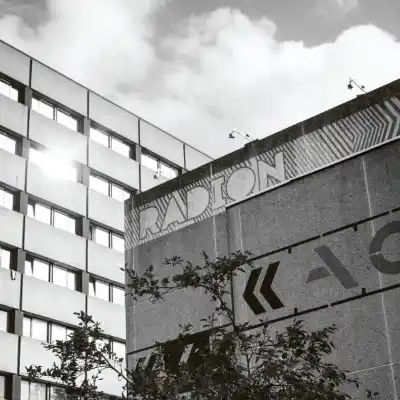 Radion Decennial Revelry