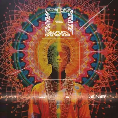 In Place Of Language (printed sleeve)