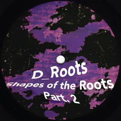 KL-NR11B-FRONTCOVER Shapes Of The Roots Part2