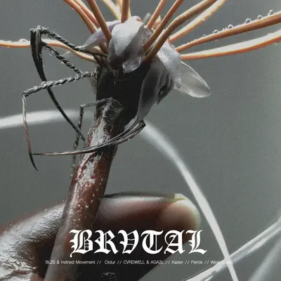 Various Artists – Brvoo08 vinyl cover